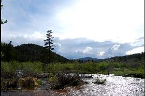 dsc_0396.jpg