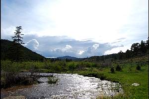 dsc_0400.jpg
